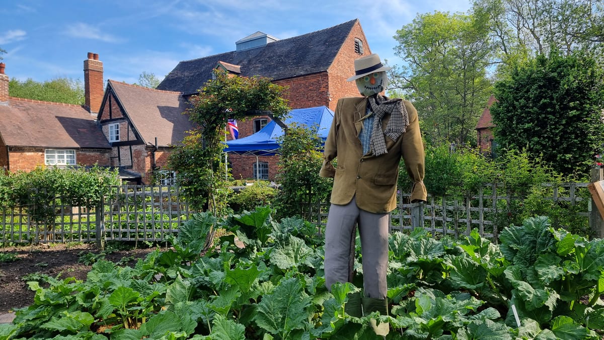The Miller's Garden