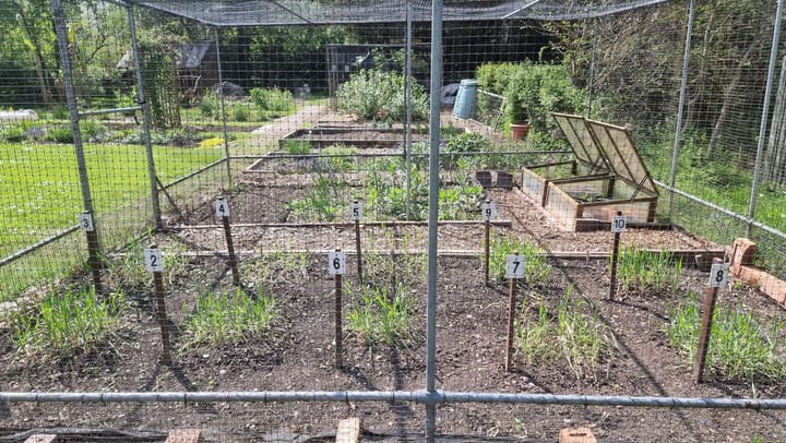 What's in the Wheat Cage at New Hall Mill 2025