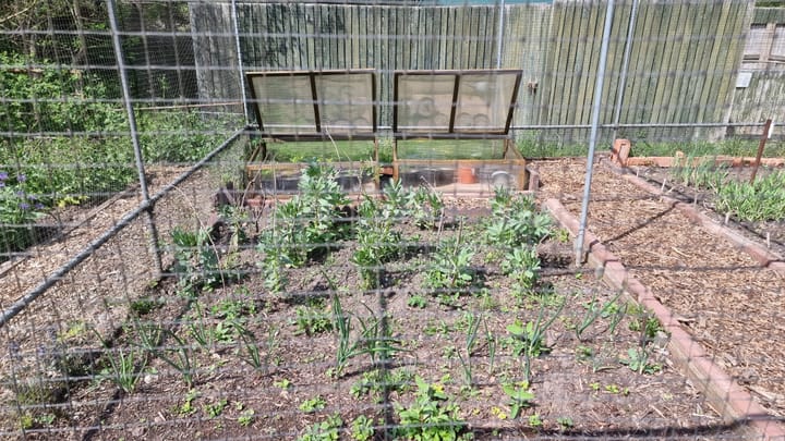 Crop rotation at New Hall Mill