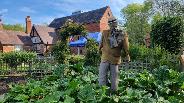 The Miller's Garden